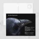 Search for corvidae postcards Crow