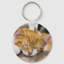 Search for orange cat key rings Sleeping