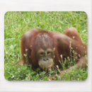 Search for hide mousepads Animal