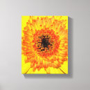 Search for gerber daisies art Nature