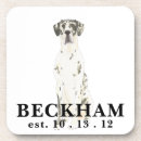 Search for harlequin great dane Black and white