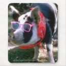 Search for pig pic mousepads Farm animals