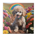 Search for poodles tiles Cute