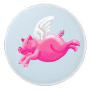 Search for flying pig Humour