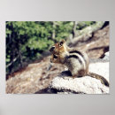 Search for acorn posters Happy