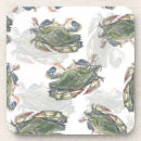 Search for crab coasters Shellfish