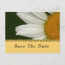 Search for sunflower save the date postcards Bride