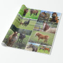 Search for a horse lover wrapping paper Equestrian