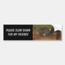 Search for squirrel bumper stickers Rodent
