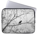 Search for crow laptop cases Bird