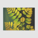 Search for fern tissue paper Boho
