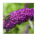 Search for bush tiles Purple