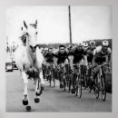 Search for white horses posters France