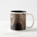 Search for arctos mugs Carnivore