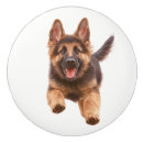 Search for dogs knobs and pulls Drawer