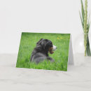 Search for berner cards Bmd