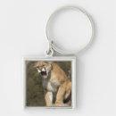 Search for cougar key rings Big cat
