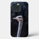 Search for ostrich iphone cases Birds