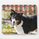 Search for open mouth mousepads Dog