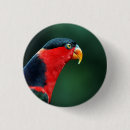 Search for bird picture badges Beautiful