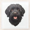 Search for labradoodles barware Puppy