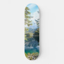 Search for pine skateboards Forest