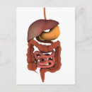Search for digestion postcards Pancreas