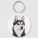 Search for siberian puppies key rings Husky