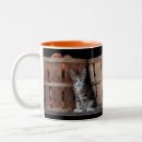Search for kittens mugs Feline