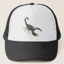 Search for animals design hats Abstract