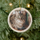 Search for best cat christmas tree decorations Fur baby