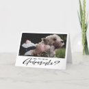 Search for godparents proposal cards Christening
