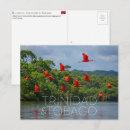 Search for tobago postcards Caribbean
