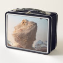 Search for dragon lunch boxes Animal