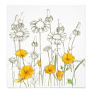 Search for california poppy art Poppies
