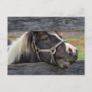 Search for pretty faces postcards Cute