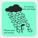 Search for spayed stickers Pets