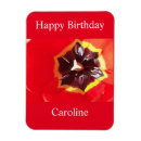Search for spring tulips magnets Botanical