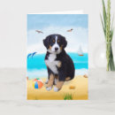 Search for bernese mountain dog cards Animal