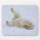 Search for refuges mousepads Arctic national wildlife refuge
