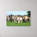 Search for ponies canvas prints Herd