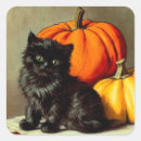 Search for cat pumpkin stickers Harvest