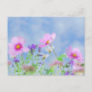 Search for spring wildflowers postcards Pastel