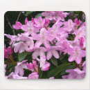 Search for rhododendron mousepads Floral