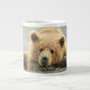 Search for big brown bear mugs Animals in the wild