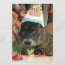 Search for groundhogs invitations Cute