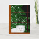 Search for cat in window christmas cards Kitty