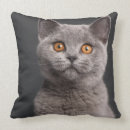 Search for british shorthair cushions Cute