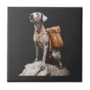 Search for pitbull tiles Lover