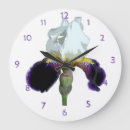 Search for iris clocks Botanical